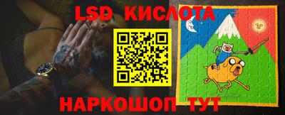 индика Можайск