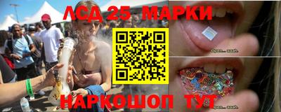 индика Можайск