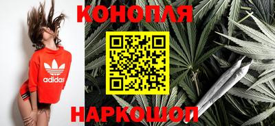 прущие крисы Можга