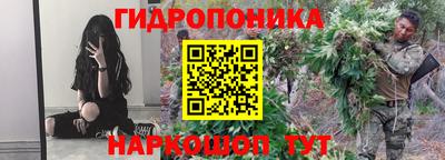 индика Можайск