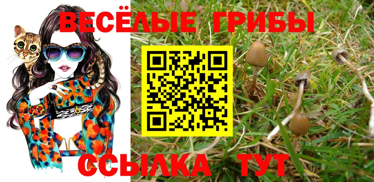 Псилоцибиновые грибы GOLDEN TEACHER  Вход с VPN  Урус-Мартан 